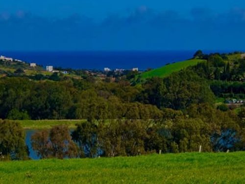 Formule EN EXTERNE - Formation en Naturopathie - 25 au 27 Janvier 2026 - Acompte 25%